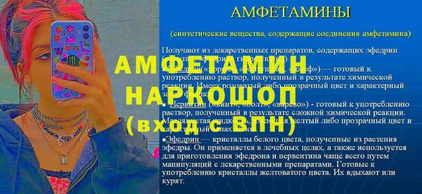 шишки Бородино