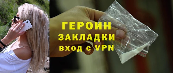 шишки Бородино