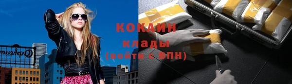 шишки Бородино