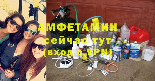 шишки Бородино