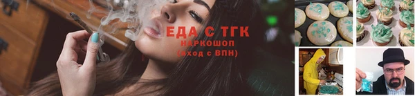 шишки Бородино