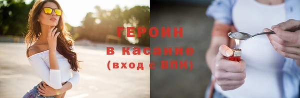 шишки Бородино