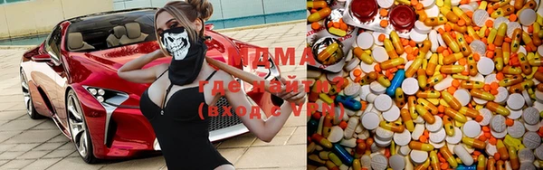 шишки Бородино