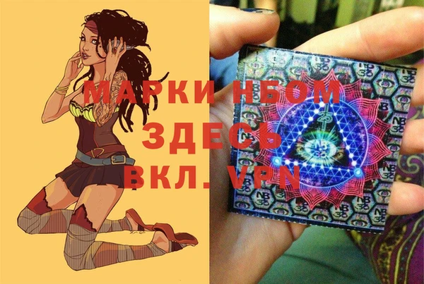 шишки Бородино