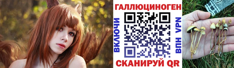 Псилоцибиновые грибы MAGIC MUSHROOMS  Нефтеюганск 
